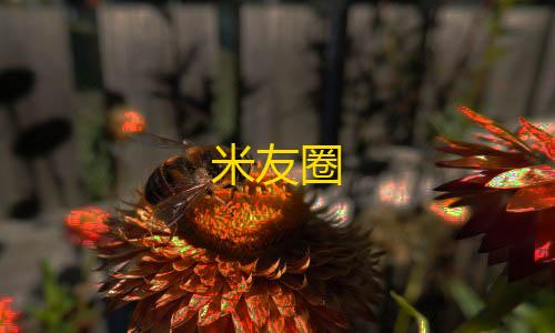 第5人格透视挂米友圈